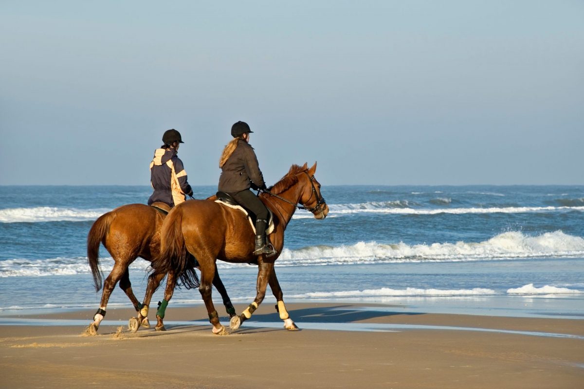 Felix Hotels_Porto San Paolo_Escursioni a cavallo