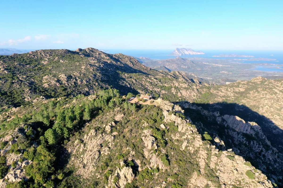Felix Hotels_Porto San Paolo_Monte Nieddu