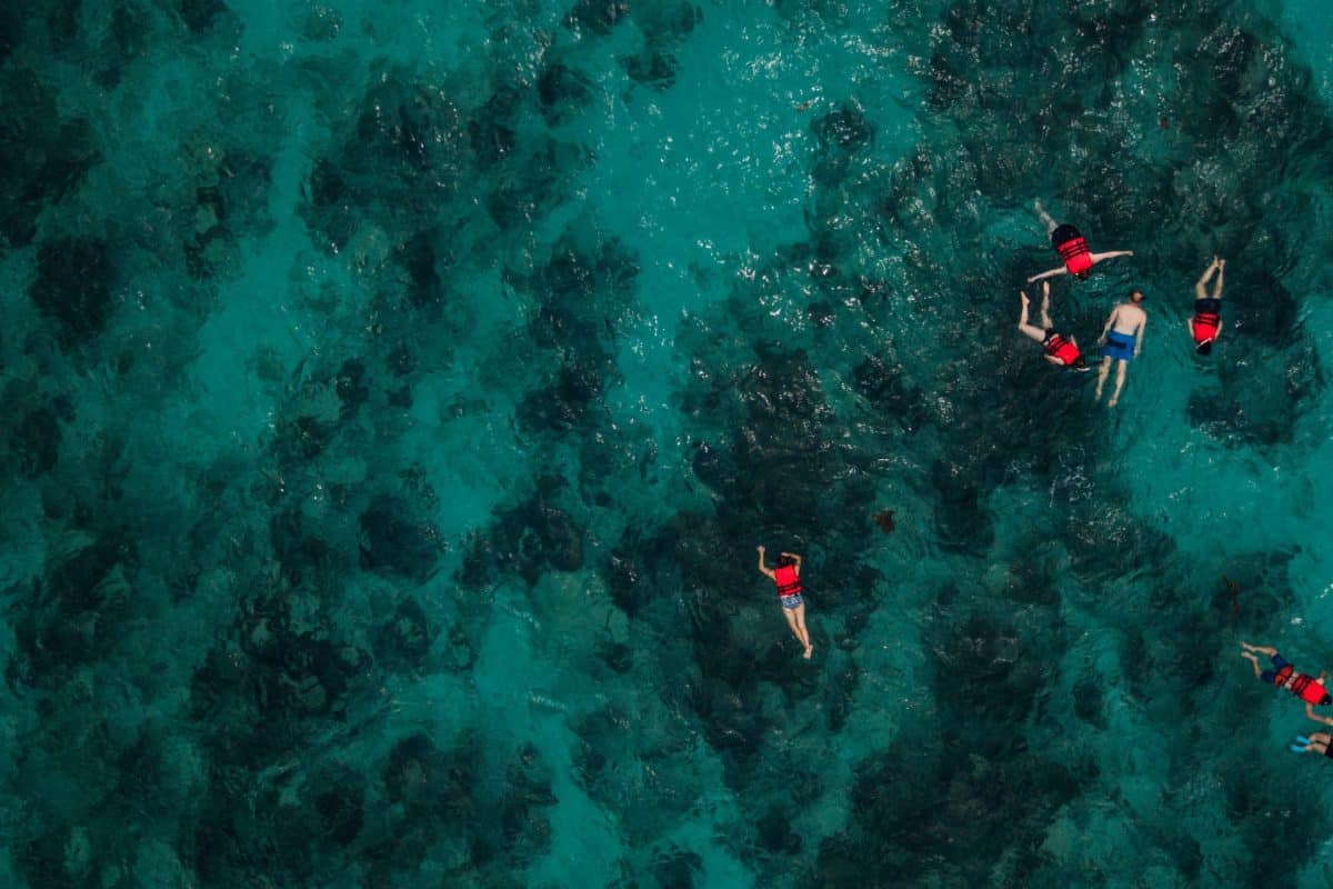 Felix Hotels_Porto San Paolo_Snorkeling