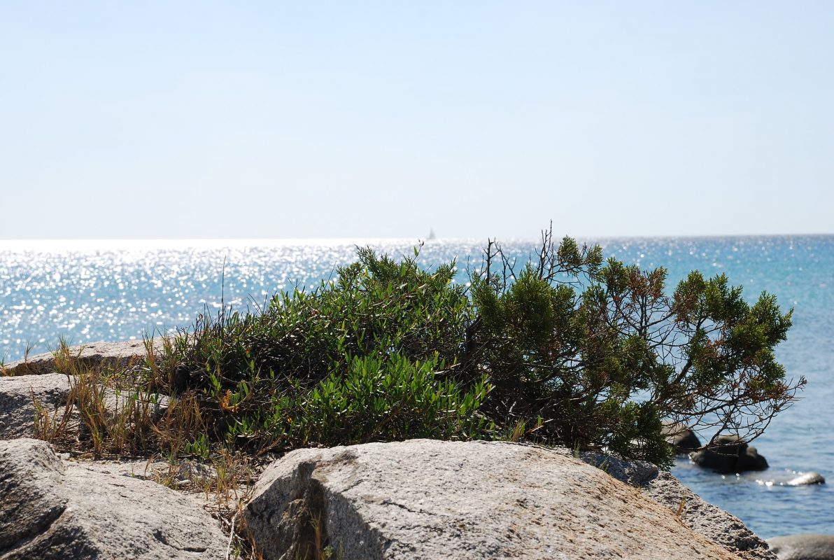 Galanias_HOtel_Bari_Sardo_Spiaggia_5