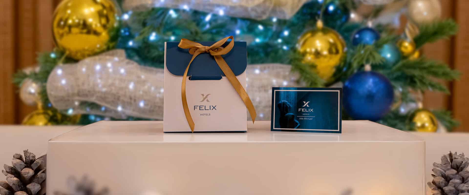 HeaderDesktop_PacchettiSpa_Natale2025