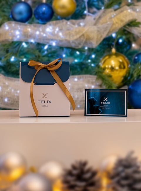 HeaderMobile_PacchettiSpa_Natale2025