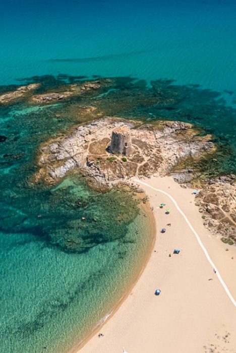 480x650_landing page