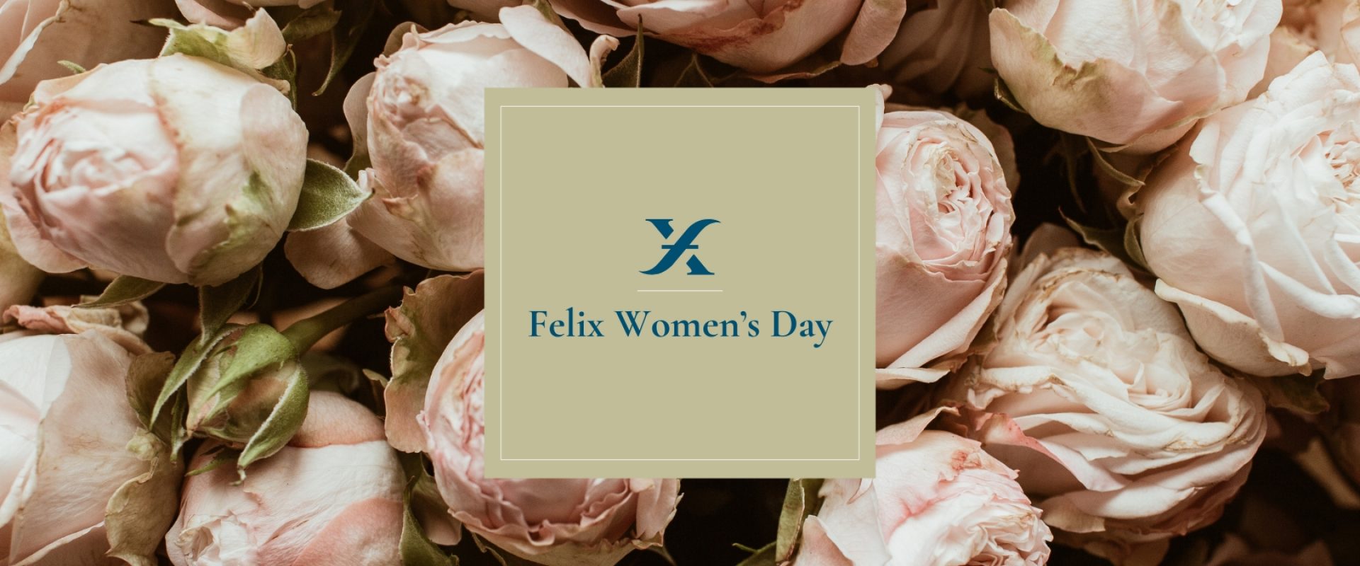 Desktop_Landing-Felix Women's Day -50% (1)