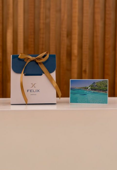EN-FR-DE-FELIX CARD_MOBILE Header