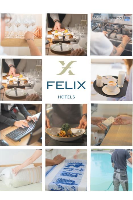 Felix Job Days mobile