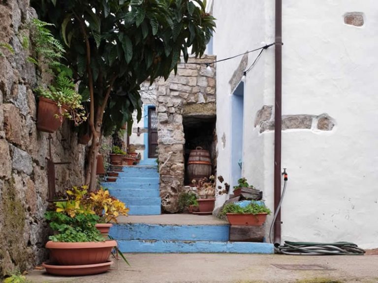 5 cose da vedere assolutamente a