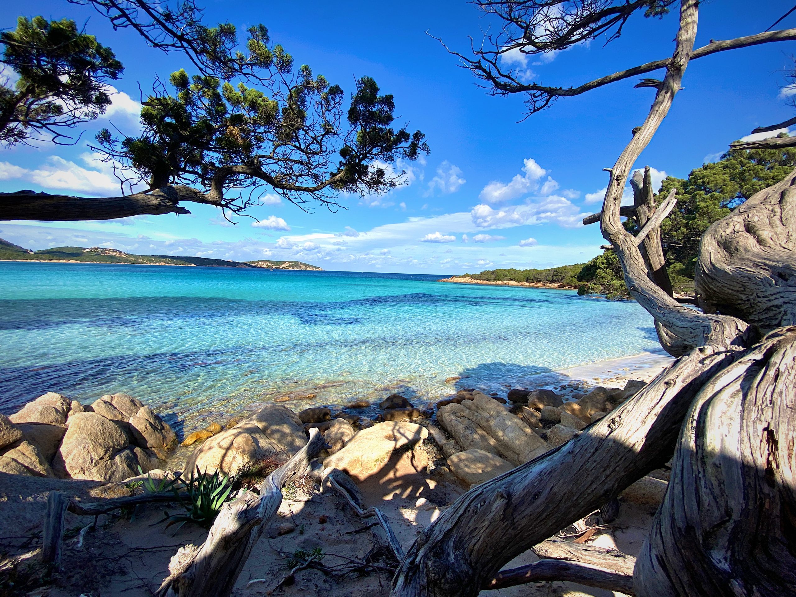 Holidays in Sardinia in June 2023, see the offers! - Felix Hotels